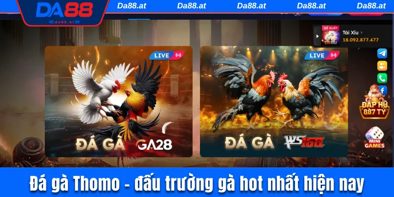 Đá Gà Thomo DA88 - Nơi Hội Tụ Các Trận Đấu Kịch Tính Nhất